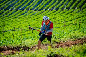 BIB: 
                            <button type="button" onclick="openModal(19161537)" class="btn btn-primary btn-sm float-right btn-popup" data-toggle="modal" data-target=".modal-high-quality">
                        <i class="fas fa-shopping-cart"></i> Add to Cart
                    </button>
                                            <button type="button" onclick="isThisMe(19161537, true)" class="btn btn-success btn-sm float-right btn-popup btn-isme hidden" data-toggle="tooltip" data-placement="bottom" title="นี่คือรูปของคุณใช่ไหม คลิกที่นี่เพื่อเอาเข้าอัลบั้ม">
                        <i class="fas fa-plus"></i> Add to album
                    </button>
                    <button type="button" onclick="isThisMe(19161537, false)" class="btn btn-warning btn-sm float-right btn-popup btn-isnotme hidden">
                        <i class="fas fa-ban"></i> Remove from album
                    </button>